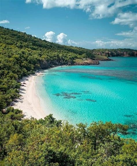 clearest water in british virgin islands|clearest water in puerto rico.